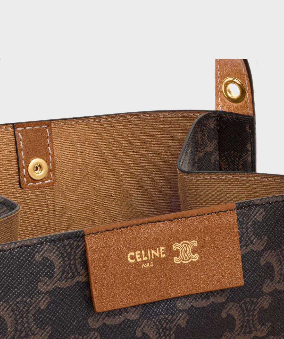 SMALL CUBE BAG IN Triomphe Canvas and NATURAL Calfskin